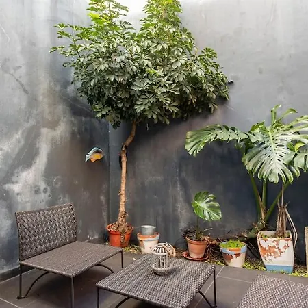 16 Rc - Patio